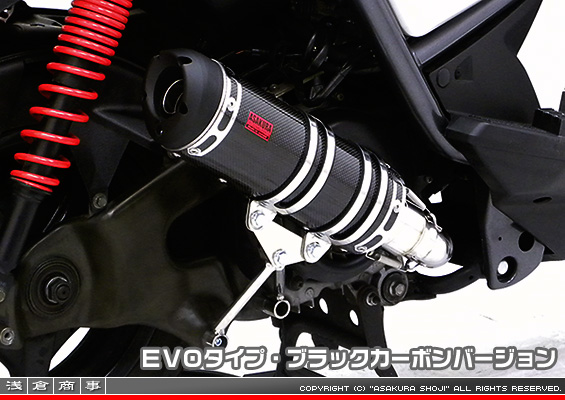 BW'S125【LPRSE45】用 DDRタイプマフラー EVOタイプ ブラックカーボンバージョン