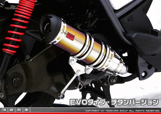 BW'S125【LPRSE45】用 DDRタイプマフラー EVOタイプ チタンバージョン