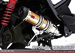 BW'S125【LPRSE45】用 DDRタイプマフラー EVOタイプ チタンバージョン