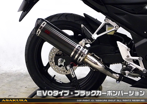 CB250F【'14〜】用 TTRタイプマフラー EVOタイプ ブラックカーボンバージョン