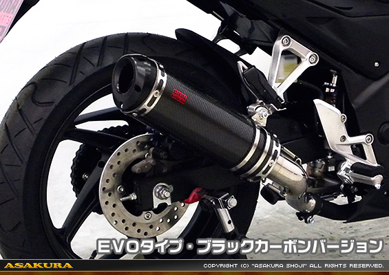 CB250F【'14〜】用 TTRタイプマフラー EVOタイプ ブラックカーボンバージョン