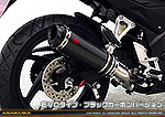 CB250F【'14〜】用 TTRタイプマフラー EVOタイプ ブラックカーボンバージョン