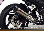 CB250F【'14〜】用 TTRタイプマフラー EVOタイプ ブラックメタルバージョン