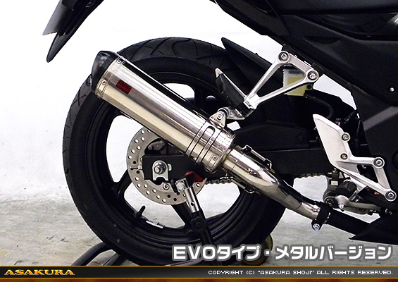 CB250F【'14〜】用 TTRタイプマフラー EVOタイプ メタルバージョン