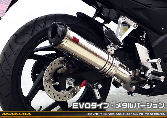 CB250F【'14〜】用 TTRタイプマフラー EVOタイプ メタルバージョン