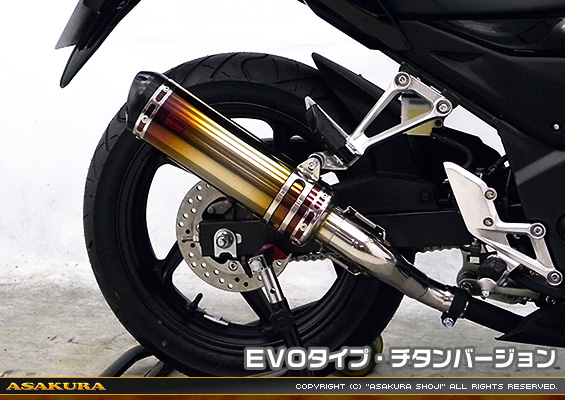CB250F【'14〜】用 TTRタイプマフラー EVOタイプ チタンバージョン