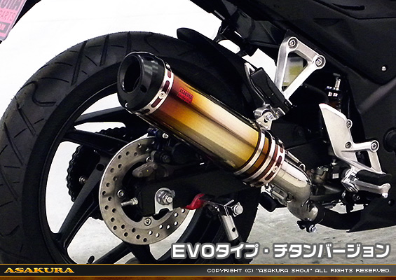 CB250F【'14〜】用 TTRタイプマフラー EVOタイプ チタンバージョン