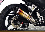 CB250F【'14〜】用 TTRタイプマフラー EVOタイプ チタンバージョン