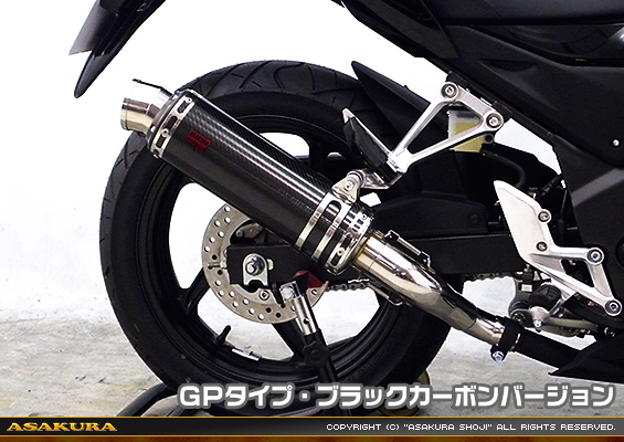 CB250F【'14〜】用 TTRタイプマフラー GPタイプ ブラックカーボンバージョン