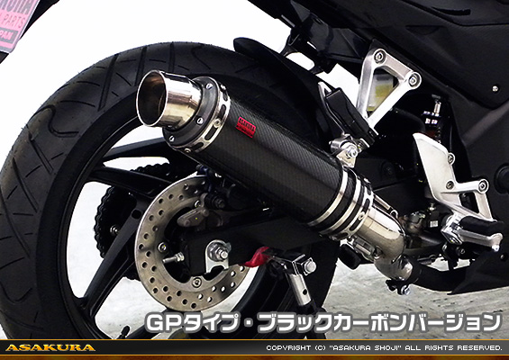 CB250F【'14〜】用 TTRタイプマフラー GPタイプ ブラックカーボンバージョン