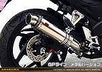 CB250F【'14〜】用 TTRタイプマフラー GPタイプ メタルバージョン
