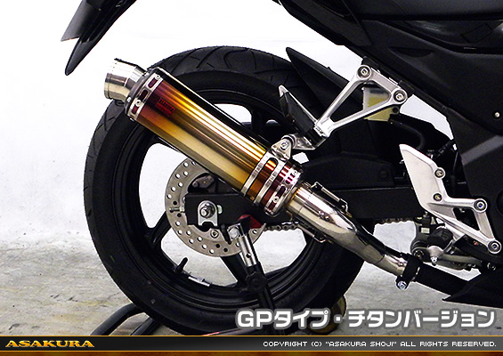 CB250F【'14〜】用 TTRタイプマフラー GPタイプ チタンバージョン