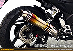 CB250F【'14〜】用 TTRタイプマフラー GPタイプ チタンバージョン