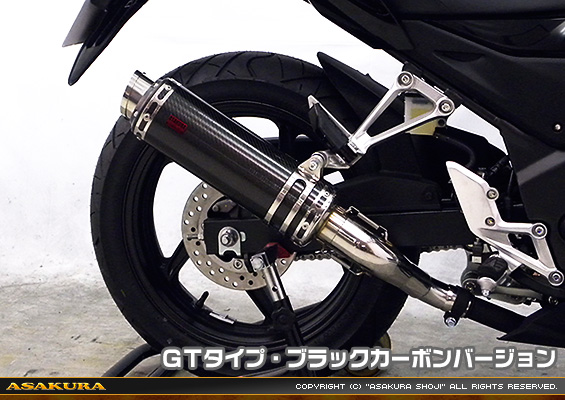 CB250F【'14〜】用 TTRタイプマフラー GTタイプ ブラックカーボンバージョン