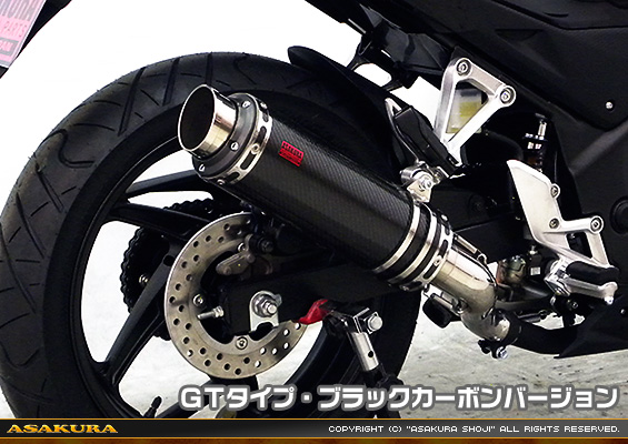 CB250F【'14〜】用 TTRタイプマフラー GTタイプ ブラックカーボンバージョン