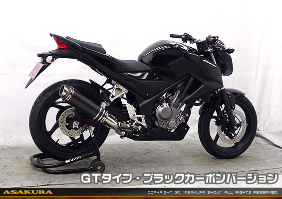 CB250F【'14〜】用 TTRタイプマフラー GTタイプ ブラックカーボンバージョン