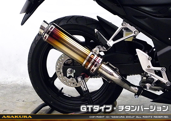 CB250F【'14〜】用 TTRタイプマフラー GTタイプ チタンバージョン
