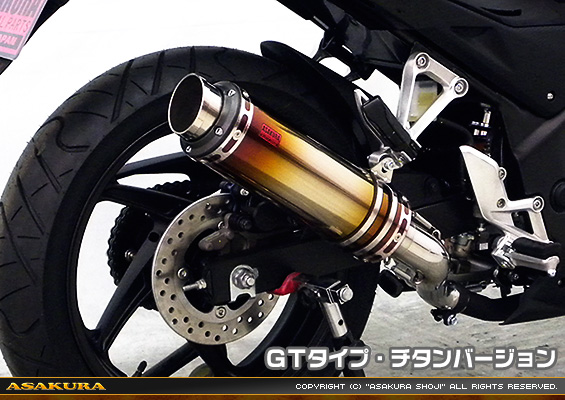 CB250F【'14〜】用 TTRタイプマフラー GTタイプ チタンバージョン