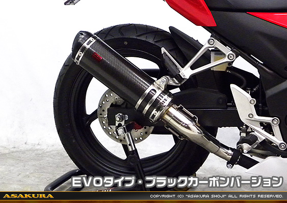 CBR250R【'14〜】用 TTRタイプマフラー EVOタイプ ブラックカーボンバージョン