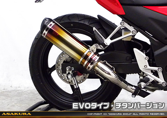 CBR250R【'14〜】用 TTRタイプマフラー EVOタイプ チタンバージョン