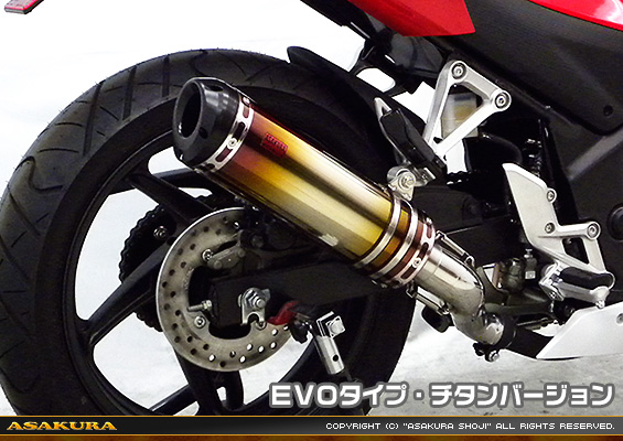 CBR250R【'14〜】用 TTRタイプマフラー EVOタイプ チタンバージョン