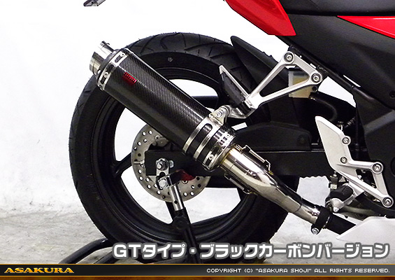 CBR250R【'14〜】用 TTRタイプマフラー GTタイプ ブラックカーボンバージョン
