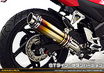 CBR250R【'14〜】用 TTRタイプマフラー GTタイプ チタンバージョン