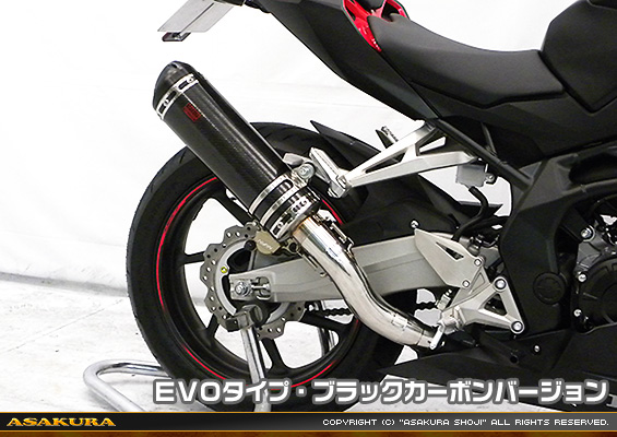 CBR250RR用 TTRタイプマフラー EVOタイプ ブラックカーボンバージョン