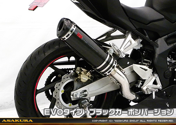 CBR250RR用 TTRタイプマフラー EVOタイプ ブラックカーボンバージョン