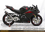 CBR250RR用 TTRタイプマフラー EVOタイプ ブラックカーボンバージョン