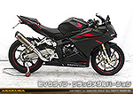 CBR250RR用 TTRタイプマフラー EVOタイプ ブラックメタルバージョン