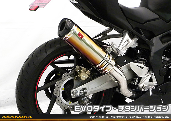 CBR250RR用 TTRタイプマフラー EVOタイプ チタンバージョン