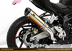CBR250RR用 TTRタイプマフラー EVOタイプ チタンバージョン