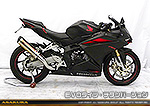 CBR250RR用 TTRタイプマフラー EVOタイプ チタンバージョン