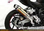 CBR250RR用 TTRタイプマフラー GPタイプ チタンバージョン