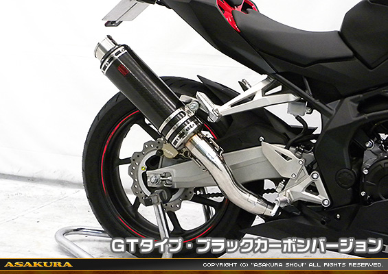 CBR250RR用 TTRタイプマフラー GTタイプ ブラックカーボンバージョン