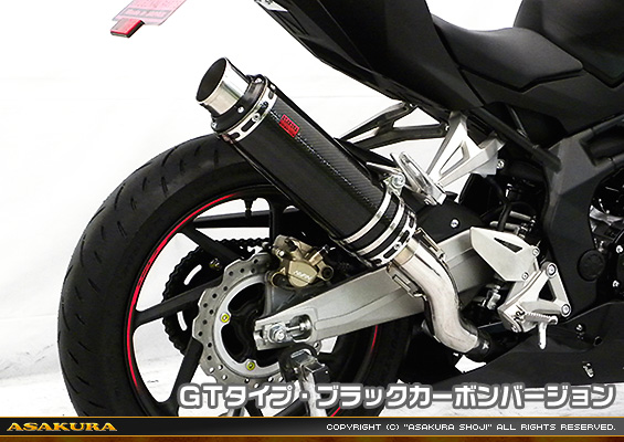 CBR250RR用 TTRタイプマフラー GTタイプ ブラックカーボンバージョン