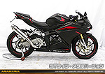 CBR250RR用 TTRタイプマフラー GTタイプ メタルバージョン