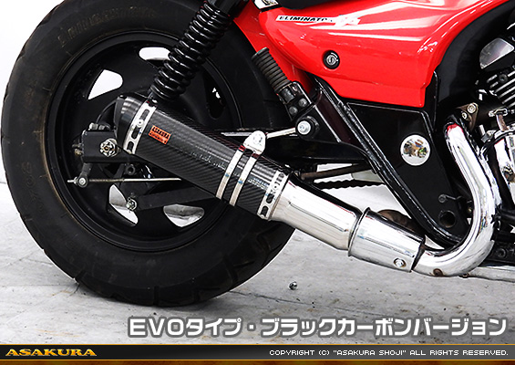 エリミネーター250V用 TTRタイプマフラー EVOタイプ ブラックカーボンバージョン