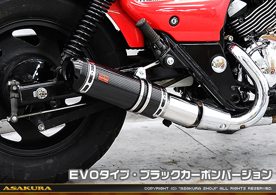 エリミネーター250V用 TTRタイプマフラー EVOタイプ ブラックカーボンバージョン