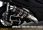 MF12フォルツァ Si用 TTRタイプマフラー GPタイプ ブラックカーボンバージョン