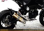 【1型】グロム（MSX125）用 DDRダウンタイプマフラー EVOタイプ チタンバージョン【フルエキゾースト】