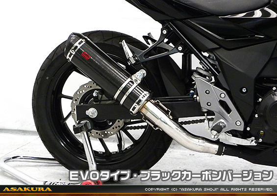 GSX250R用 TTRタイプマフラー EVOタイプ ブラックカーボンバージョン