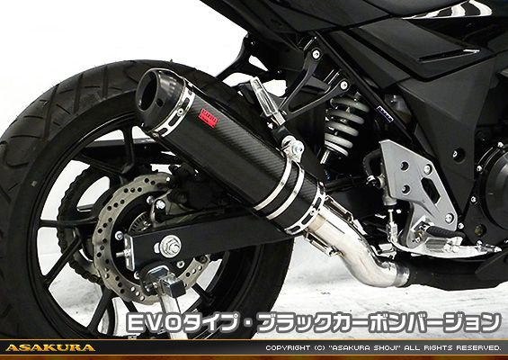 GSX250R用 TTRタイプマフラー EVOタイプ ブラックカーボンバージョン
