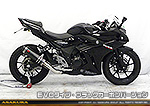 GSX250R用 TTRタイプマフラー EVOタイプ ブラックカーボンバージョン