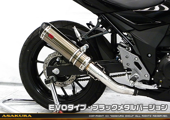 GSX250R用 TTRタイプマフラー EVOタイプ ブラックメタルバージョン