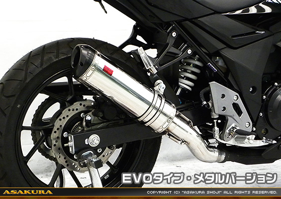 GSX250R用 TTRタイプマフラー EVOタイプ メタルバージョン