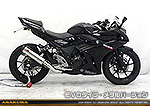 GSX250R用 TTRタイプマフラー EVOタイプ メタルバージョン