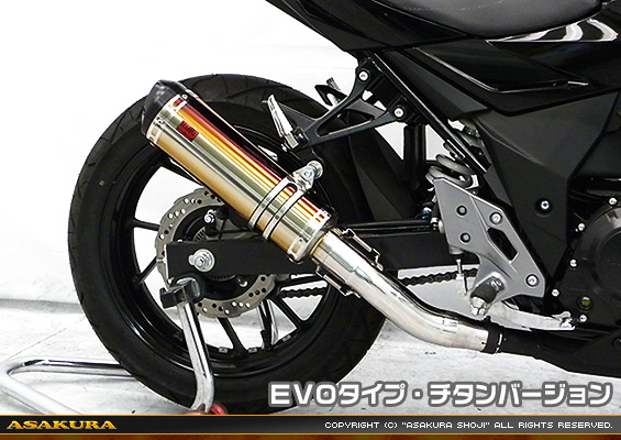GSX250R用 TTRタイプマフラー EVOタイプ チタンバージョン