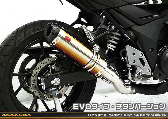 GSX250R用 TTRタイプマフラー EVOタイプ チタンバージョン